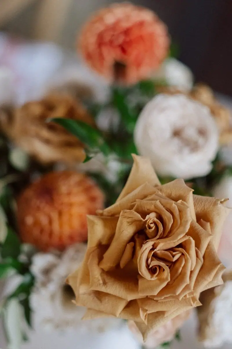 Braune Rose im Brautstrauß, Nahaufnahme